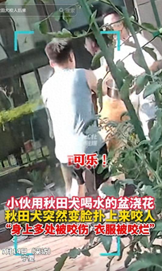 免息炒股配资 朋友用狗喝水的盆浇花被狗撕咬 主人透露更多