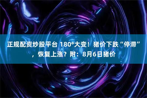 正规配资炒股平台 180°大变！猪价下跌“停滞”，恢复上涨？附：8月6日猪价